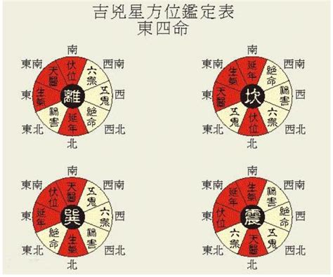 年命卦|衍易風水命卦速查表